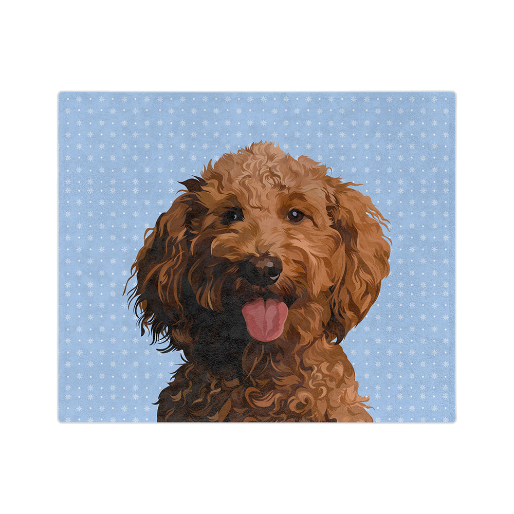 SnowflakesHandIllustration