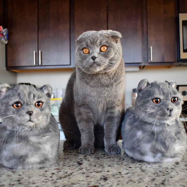 Customized Slippers | Create One-of-a-Kind Custom Dog, Cat, and Pet Slippers Today - Cuddle Clones