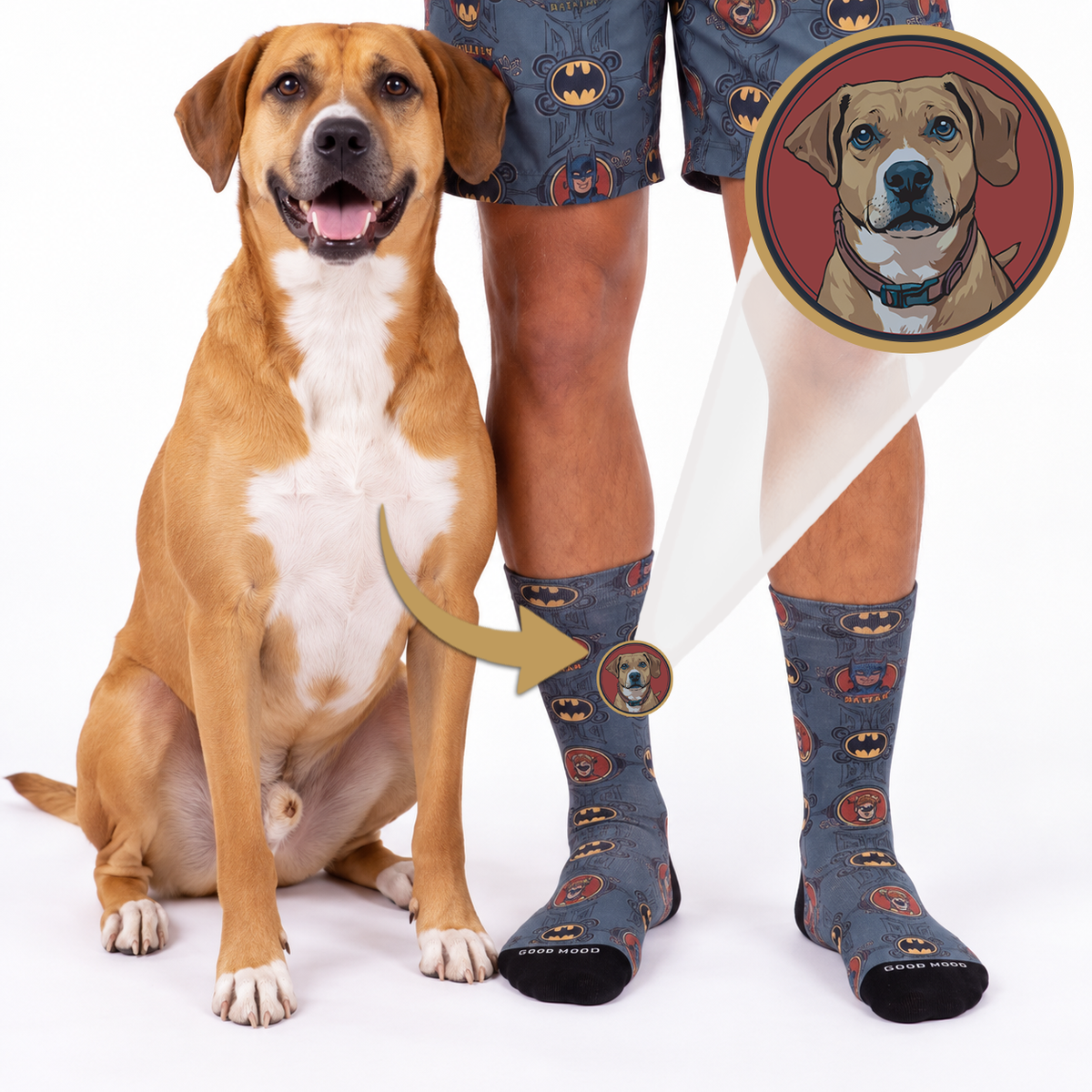 A person wearing custom pet socks with a Batman-themed dog portrait, shown alongside a matching brown and white dog. The socks feature a gray background with repeated Batman logos and a circular dog portrait printed on the front, with a zoom-in callout of the dog illustration.