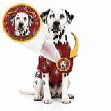 A Dalmatian dog wearing a red holiday-themed dog shirt with a printed dog portrait, shown on a white background with an inset close-up of the print and a yellow arrow indicating the design area.