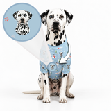 A Dalmatian wearing a light blue custom pet-print shirt featuring its illustrated face, with a magnified callout showing the personalized dog design on the fabric.