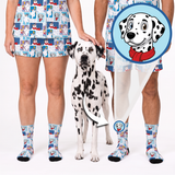 A Dalmatian dog stands between two cropped human legs wearing matching patterned socks and shorts, with a circular cartoon Dalmatian face graphic and arrow showing the print detail. The product appears to be the socks and matching shorts featuring a blue-and-white cartoon dog print with black spots.