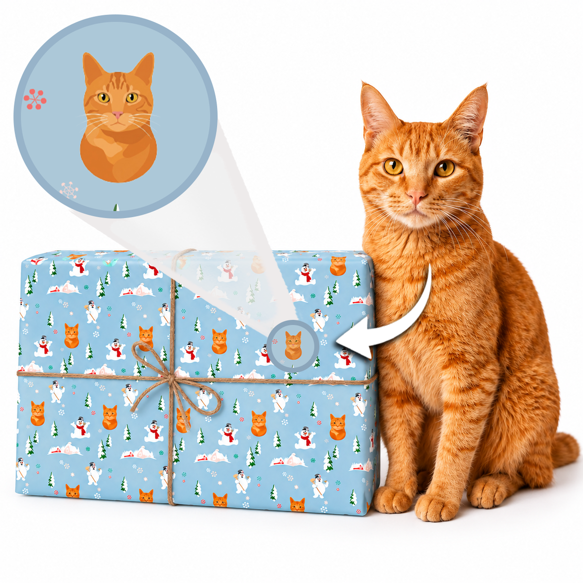 An orange tabby cat sits beside a gift box wrapped in light blue custom pet-print paper featuring the cat’s illustrated face, with a magnified callout highlighting the personalized design.