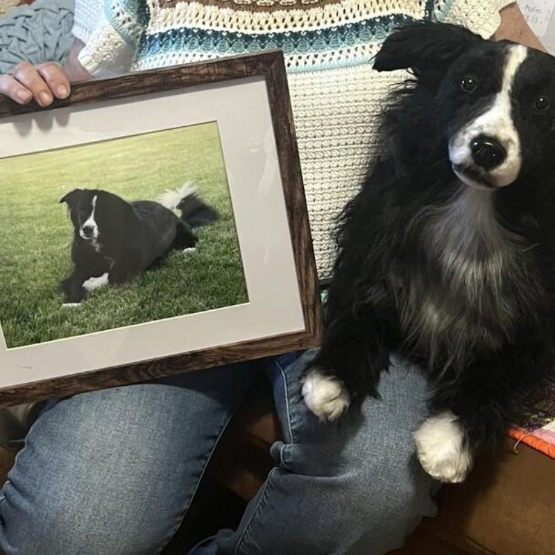 Custom Pet Memorial Plush Cuddle Clone