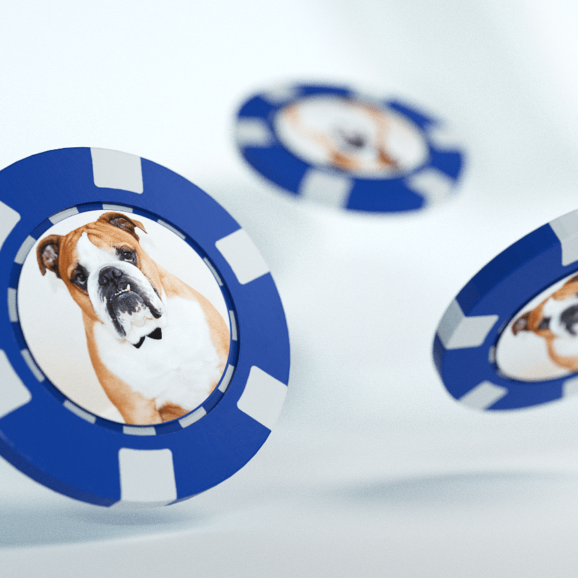 Ball Markers With Pet Photo (3-Pack)