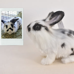 Lionhead rabbit stuffed clearance animal