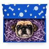 Magnet Gift Box