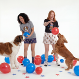 Two women playing with dogs and balloons on a white background