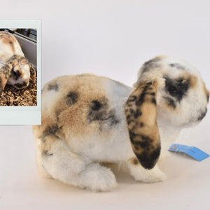 Holland lop outlet toys