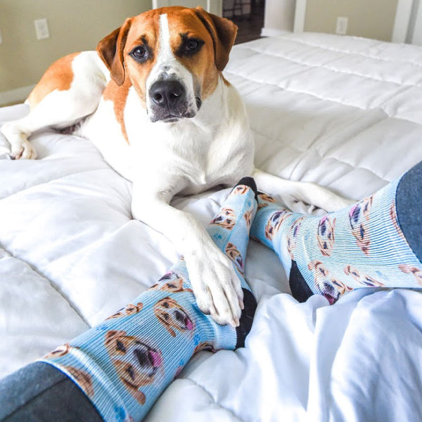 Custom Dog & Pet Socks Create Personalized Pet Socks with Your Dog's
