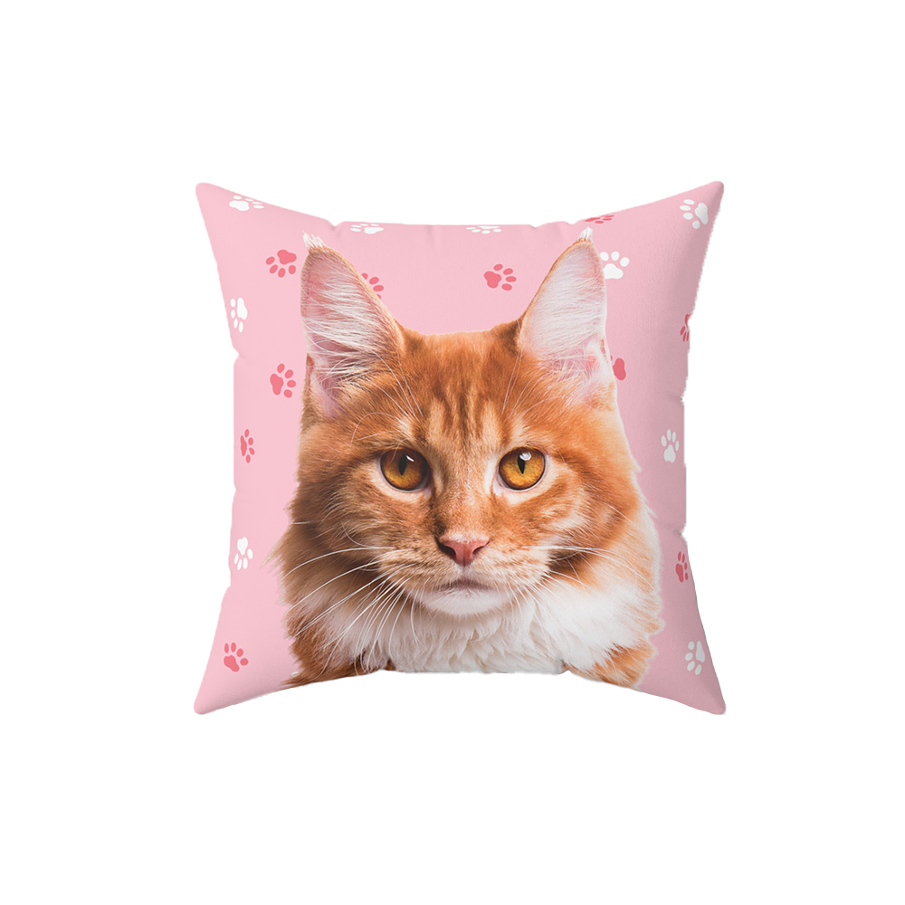 Pink pillow with paws, it features a portrait of a cat. 