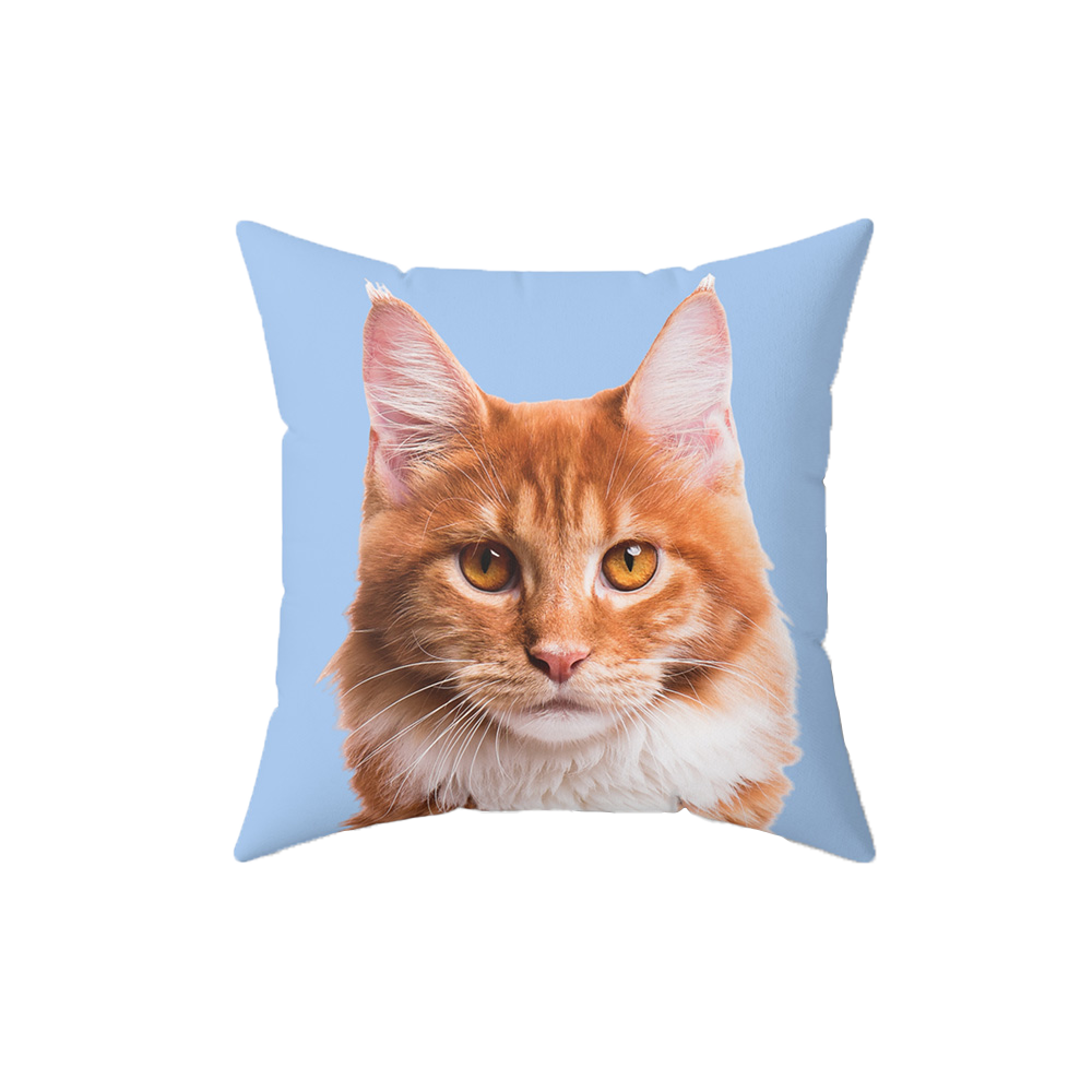 Sky blue pillow, it features a portrait of a cat.