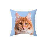 Sky blue pillow, it features a portrait of a cat.