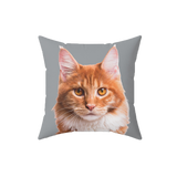 Gray pillow with paws, it features a portrait of a cat.