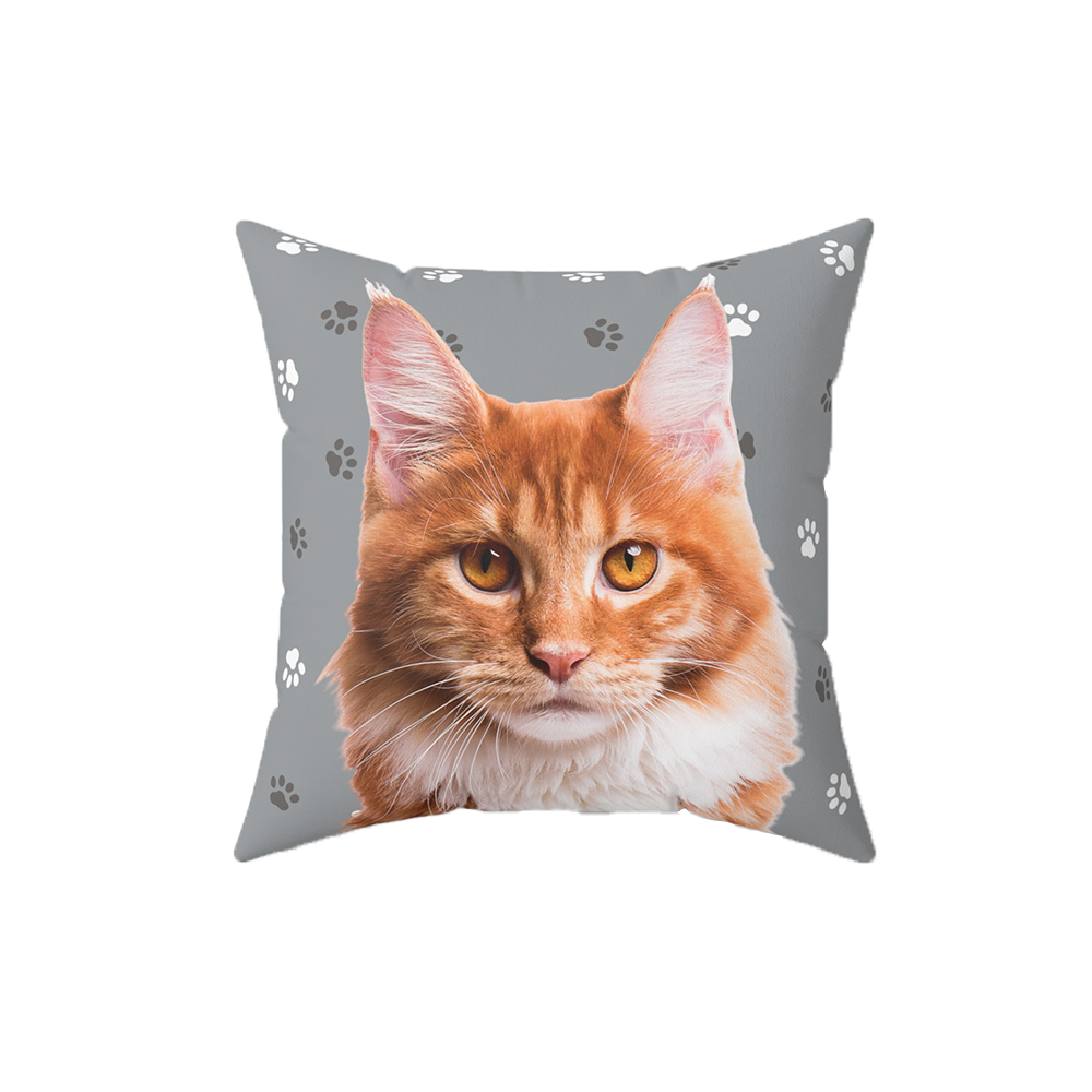 Gray pillow with paws, it features a portrait of a cat.