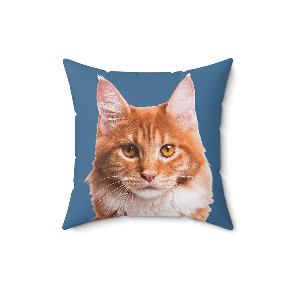 Pillow with a cat's face printed on a blue background