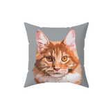 Gray pillow with paws, it features an illustration of a cat.