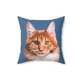 Pillow with an illustrated cat face design on a blue background