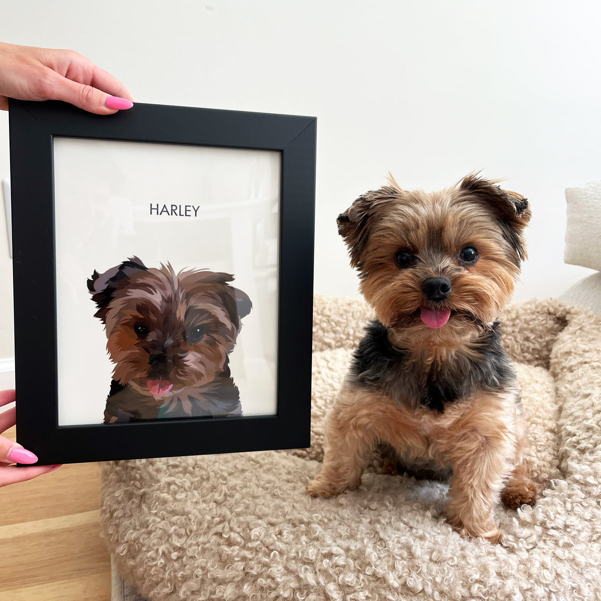 Small brown and black dog sitting on a fluffy beige bed with its tongue out, next to a framed illustrated portrait of the same dog labeled ‘Harley.’ A hand with pink nails holds the black frame on the left side.