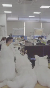 Video of headquarters