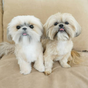 Shih Tzu - Plush - Fun Stuff Toys