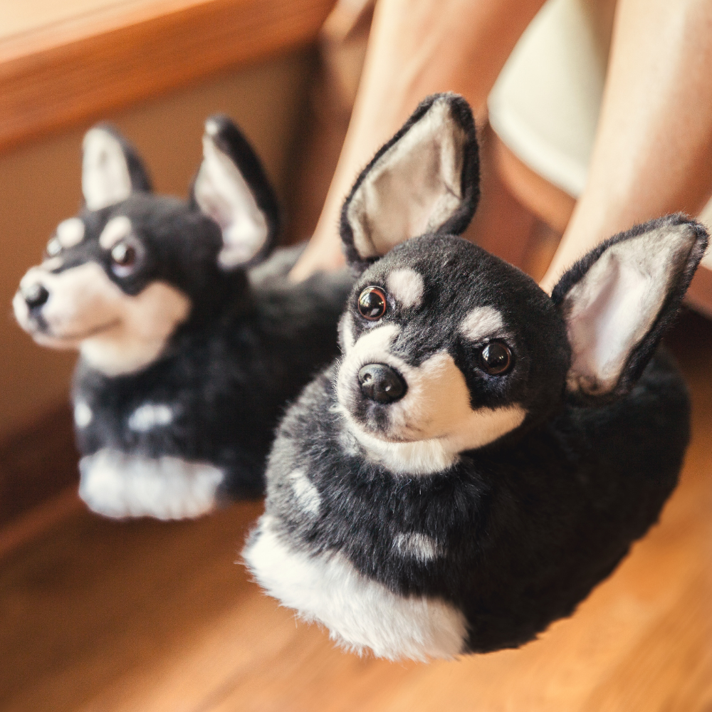 Slippers that look like your dog on sale