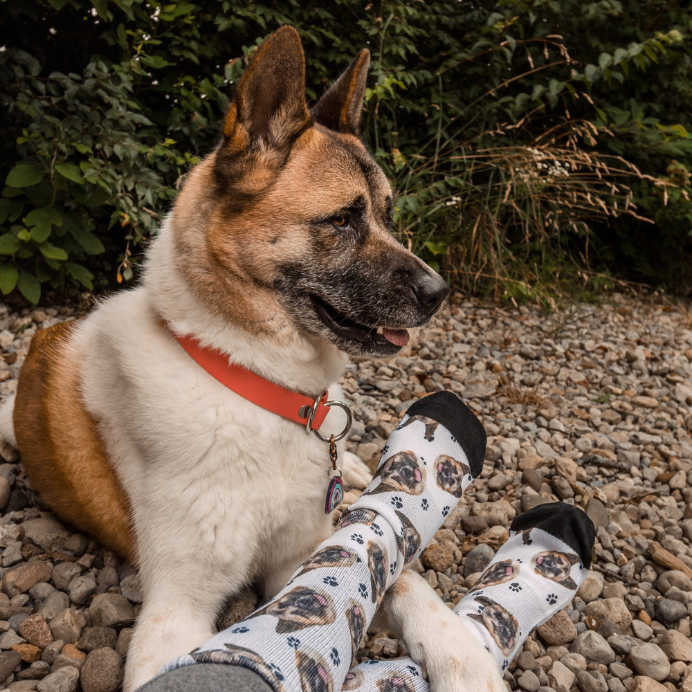 Custom Dog & Pet Socks Create Personalized Pet Socks with Your Dog's Face Cuddle Clones