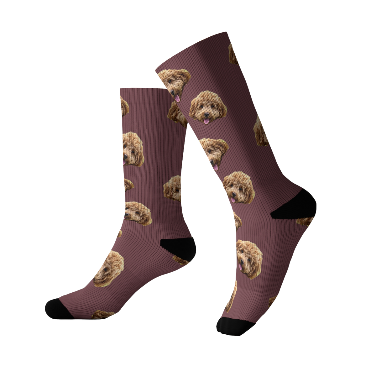 Maroon socks featuring a repeating pattern of a fluffy brown dog’s face. The socks have black toes and heels.