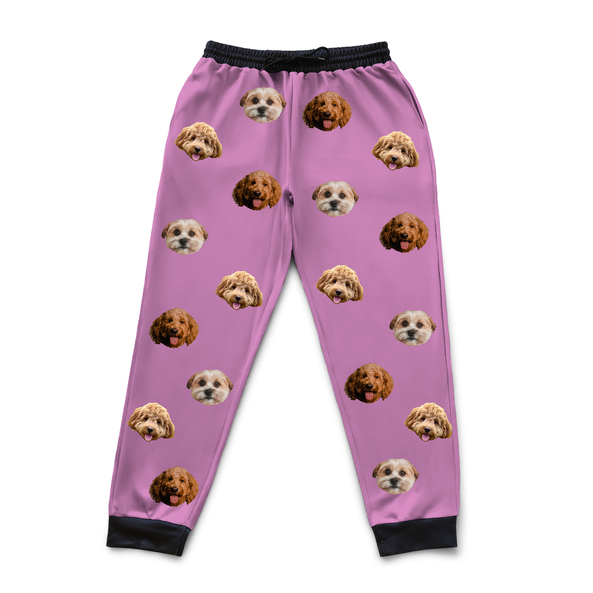 OrchidSweatpants3Pets