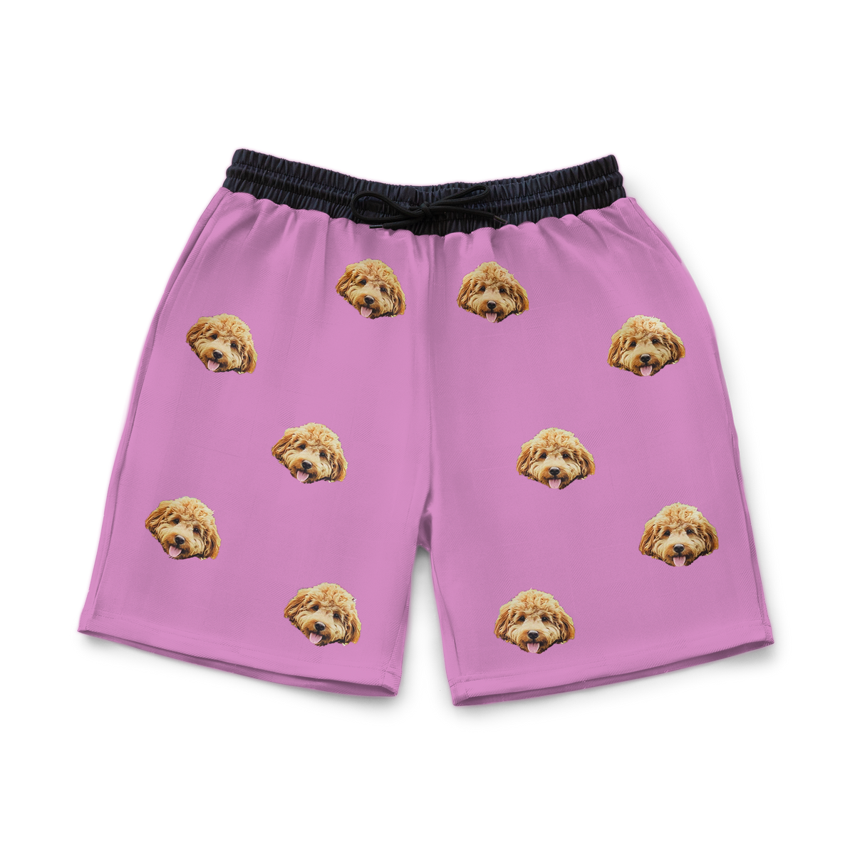 OrchidSweatshorts1Pet