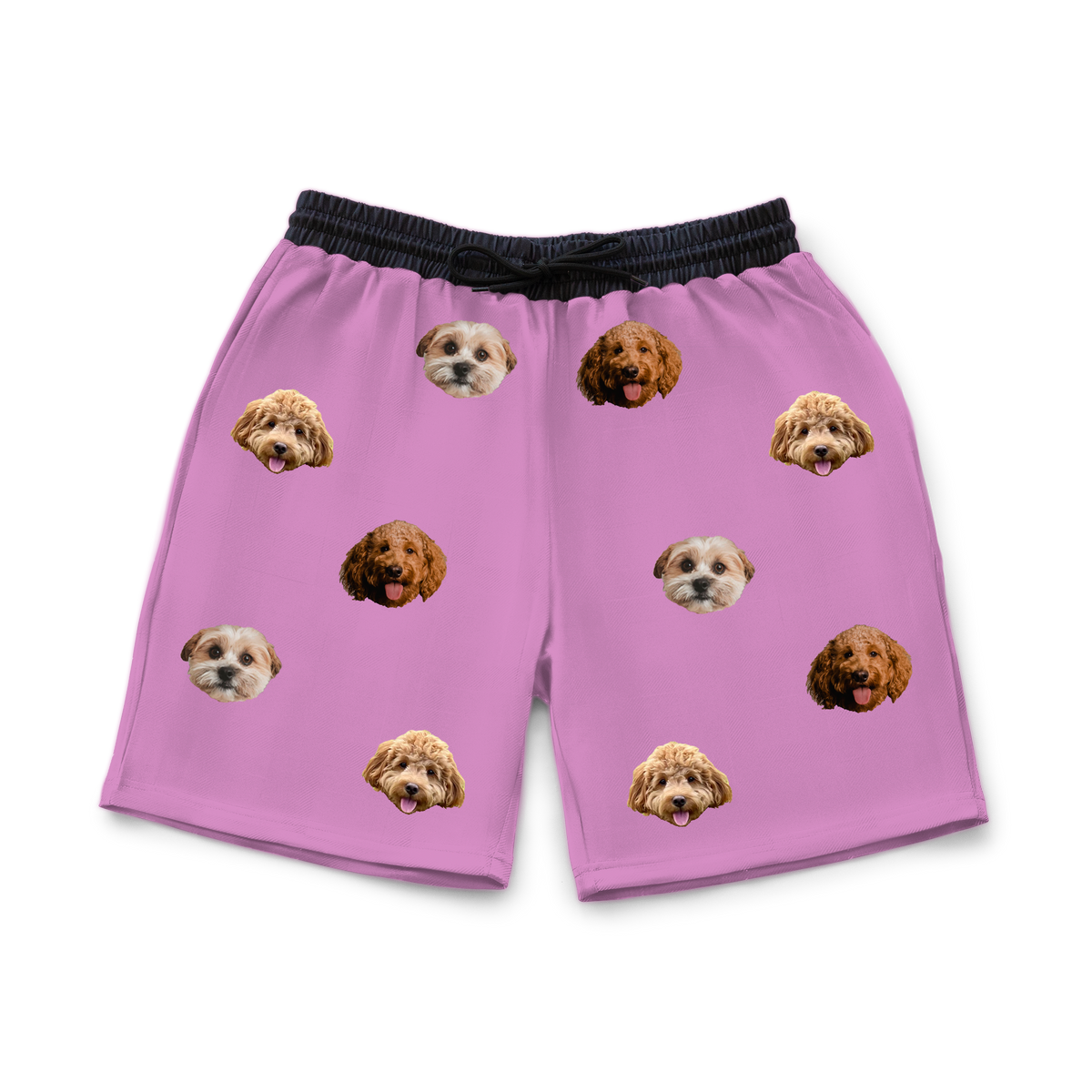 OrchidSweatshorts3Pets