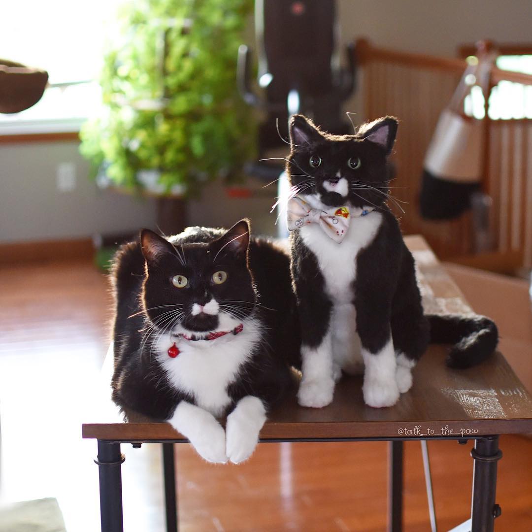 Custom Tuxedo Cat Plush Cuddle Clone