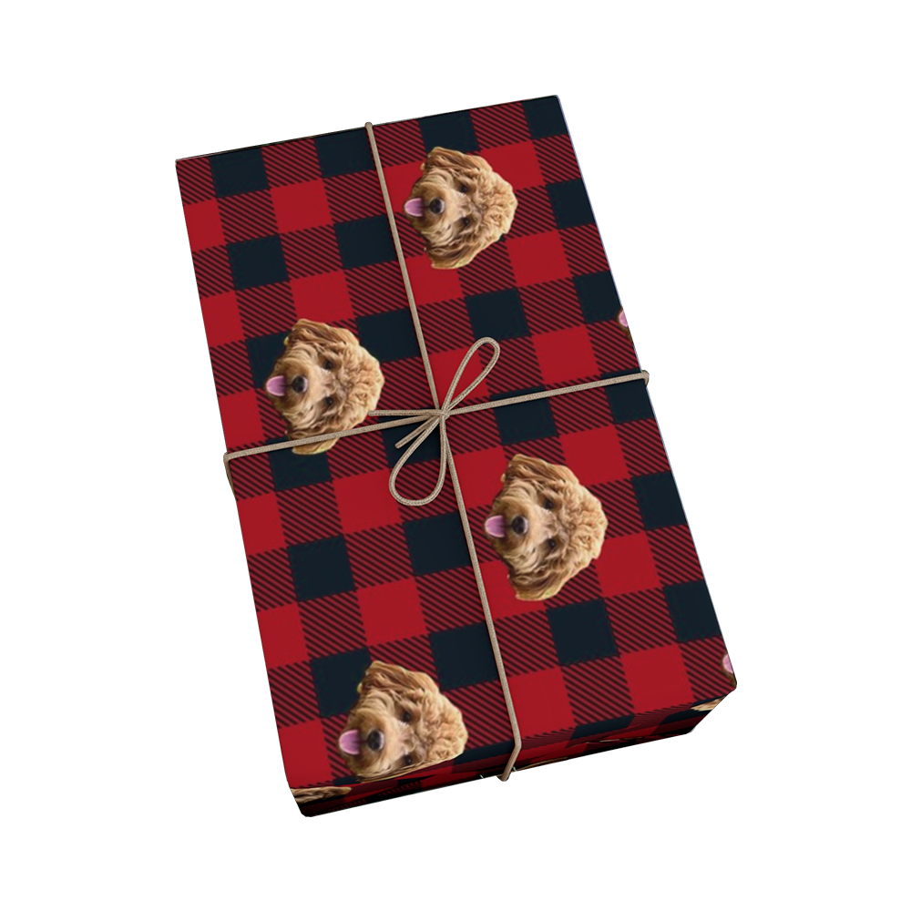 Red and black checkered gift box with bear faces and twine on a white background