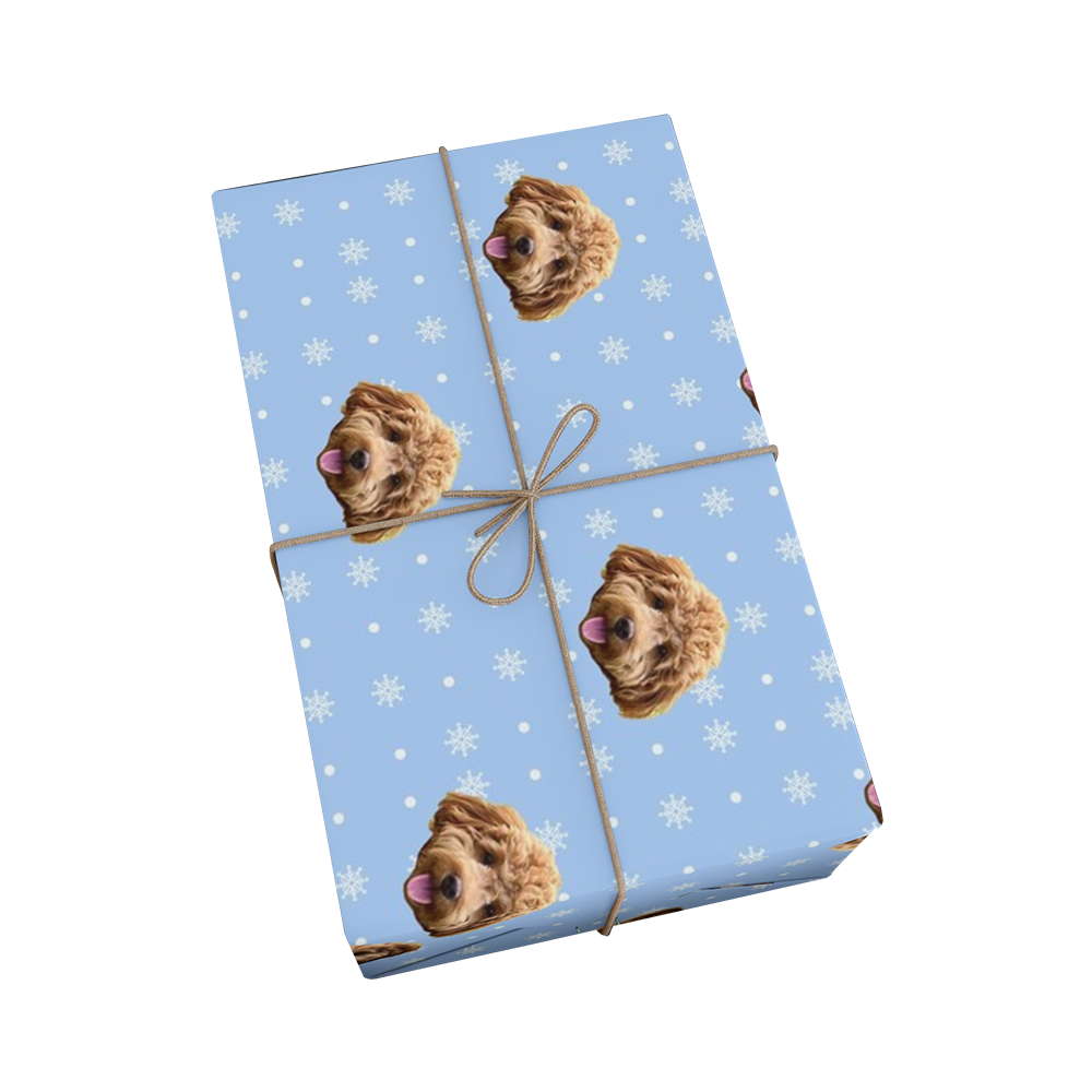 Gift box wrapped with blue paper featuring dog faces and white snowflakes, tied with brown string.
