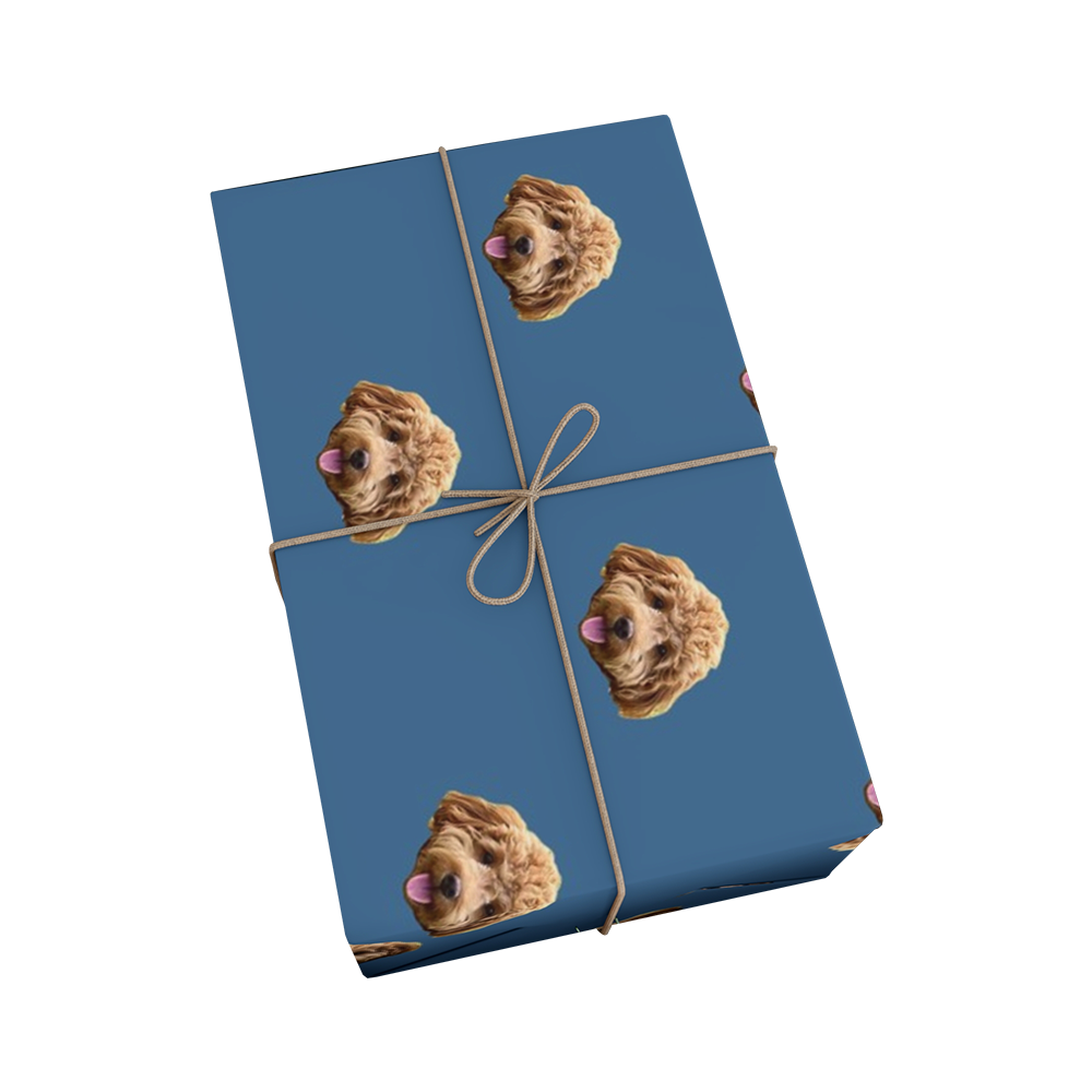 Gift box wrapped in blue paper with dog face pattern and tied with brown string on a white background