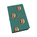 Gift box wrapped with green paper featuring dog faces and tied with brown string.