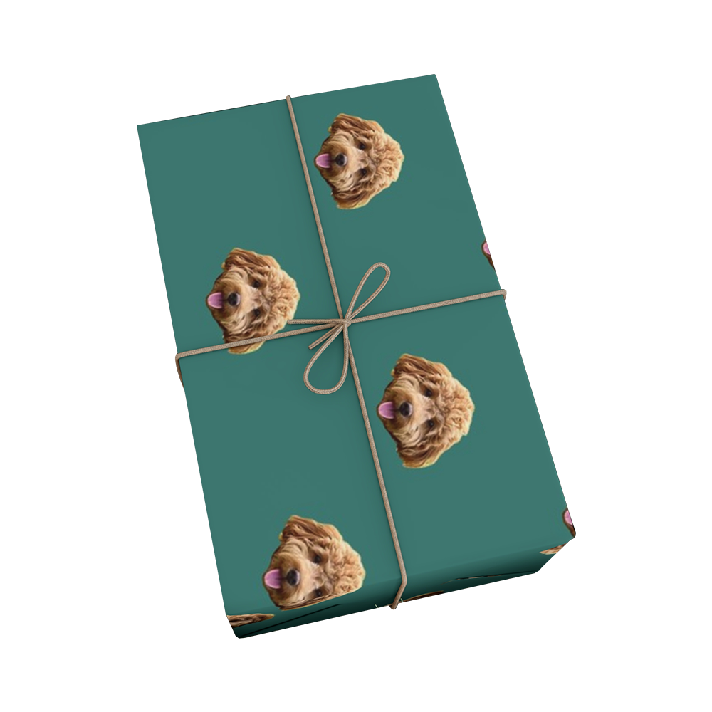 Gift box wrapped with green paper featuring dog faces and tied with brown string on a white background