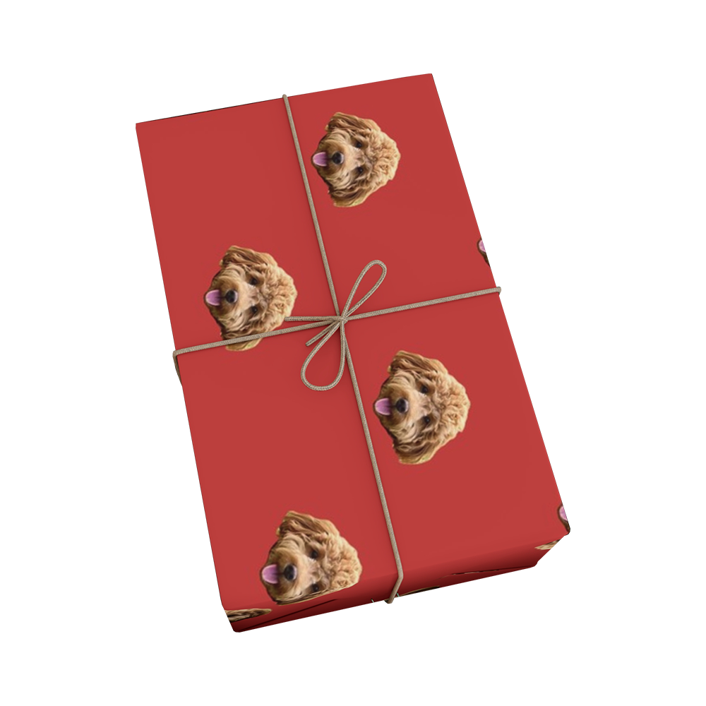 Red gift box with brown dog head pattern and string bow on a white background