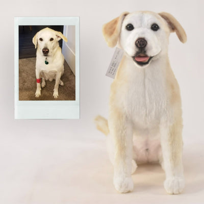 Yellow Lab Stuffed Animal | Bring Home a Stuffed Yellow Lab or a Unique ...