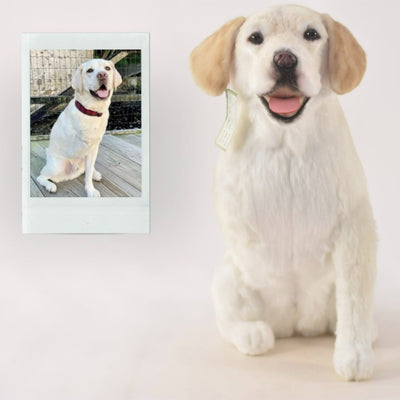 Yellow Lab Stuffed Animal | Bring Home a Stuffed Yellow Lab or a Unique ...