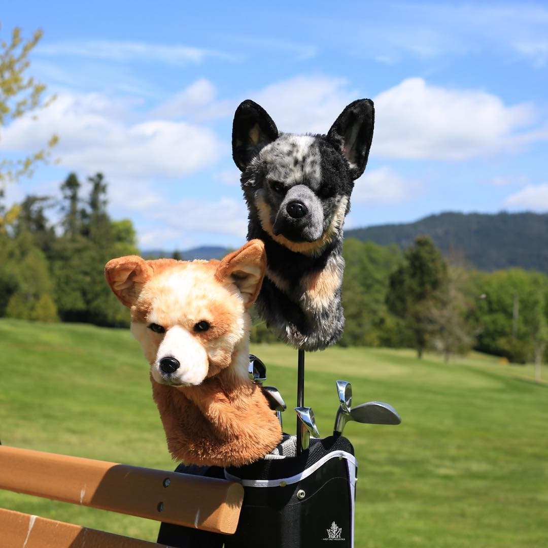 Louisville Company's Custom Pet Headcovers Are A Hit With Golfers