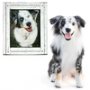 White dog picture frame customized 