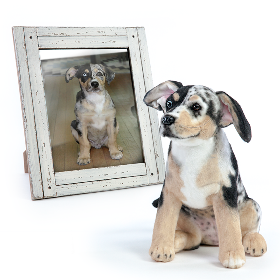 Realistic stuffed animals of your pet on sale