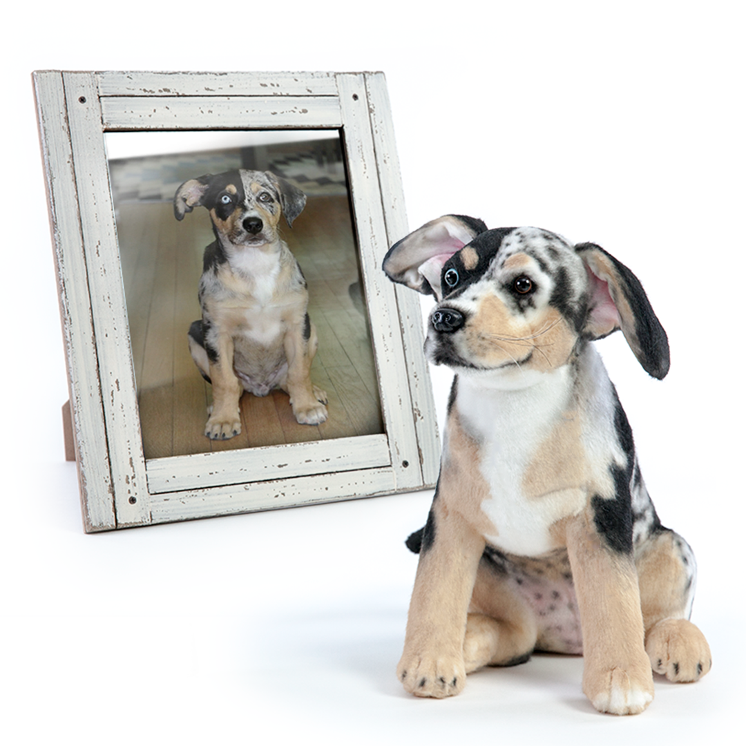 Stuffed Animal That Looks Like Your Pet  Customize a High-Quality Dog Plush  or Plush Pets, Perfect Stuffed Animals That Look Like Pets - Cuddle Clones
