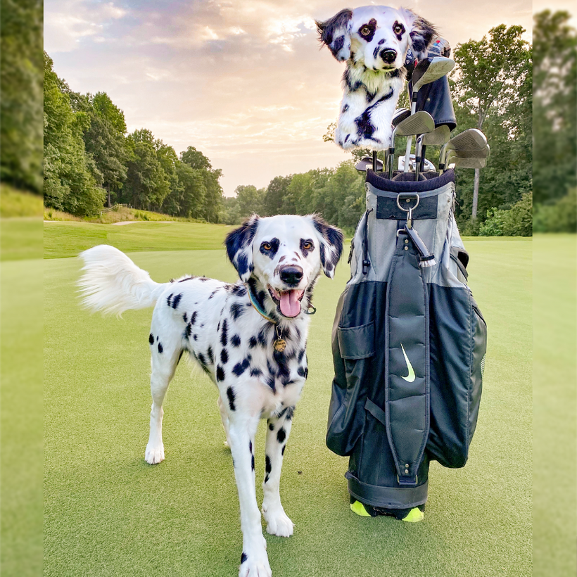 その他 Mini Zoo MZ-34 Large Dalmatian Minizoo Golf Bag Cover Mini Zoo MZ-34 Large Dalmatian Minizoo Golf Bag Cover 【公式通販】
