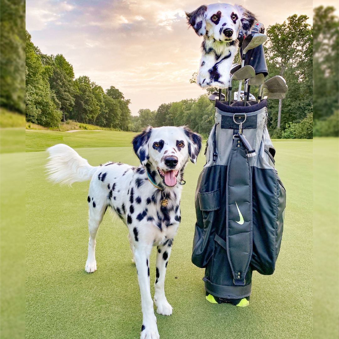 Spirit Animal Golf Club Head Covers